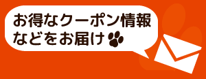 お得なクーポン情報などをお届け