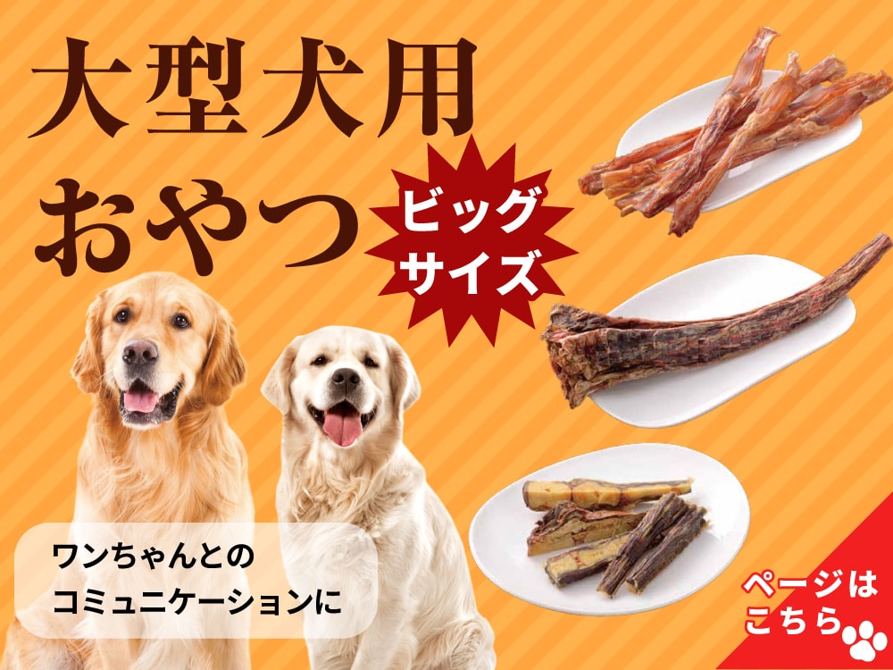 通販 犬用おやつならマツヒロ 無添加 国産の安心なおやつを販売