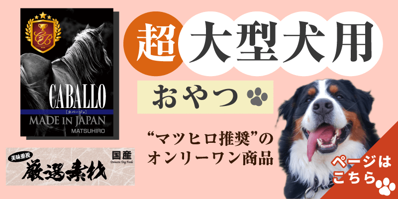 大型犬おすすめおやつ特集 犬のおやつの通販 マツヒロ