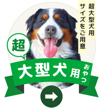 大型犬用おやつ 犬のおやつの通販 マツヒロ
